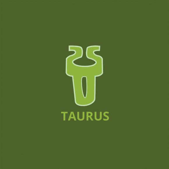 Taurus Gift Bag
