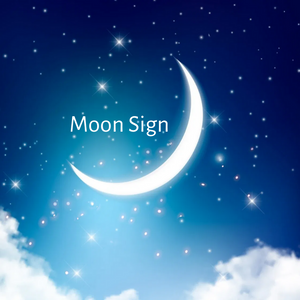 What the hell do you mean by Moon Sign?!