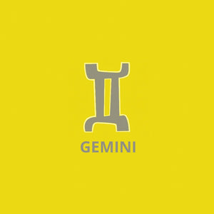 Gemini Gift Bag- May 21, 22* to June 21